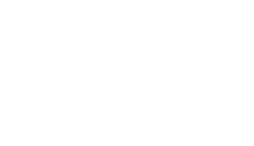 Georgia Pacific Holdings Corp Logo