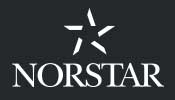 Norstar Group of Companies Logo
