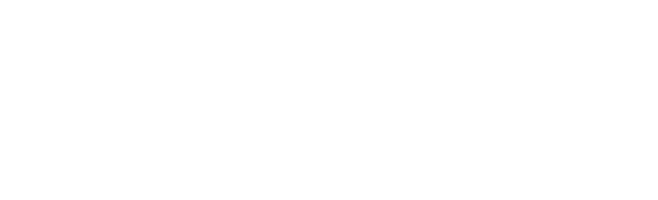 Menkes Developments Logo