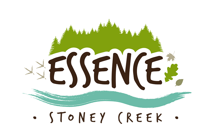 Essence – Townhome at First Road East & Green Mountain Road East, Hamilton, ON, Pre-construction